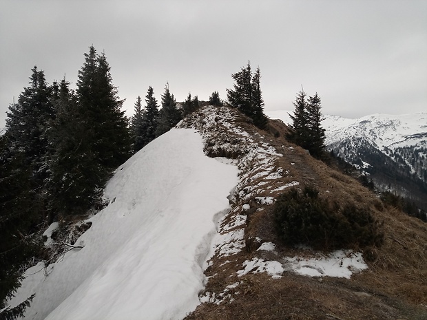 zimička na vrchu Kraviarske 1361 m.n.m.