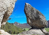 skalný hríb