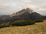 vrch Veľký Rozsutec 1610 m.n.m. zo Stohového sedla 1230 m.n.m.
