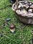 portret
