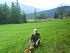 portret