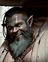 portret