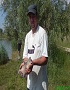 portret