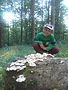 portret