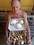 portret